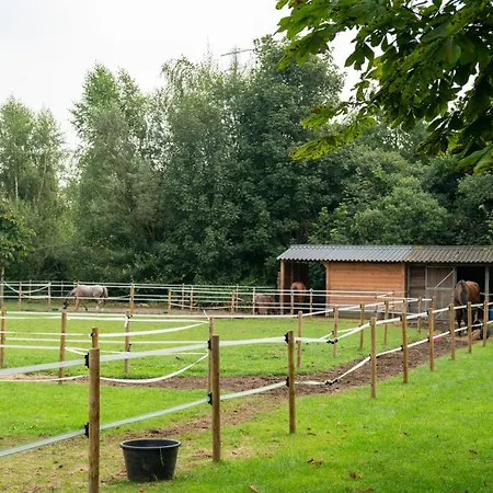 Prachtig En Zeer Ruim Vakantie-appartement Bijflore * Lochem