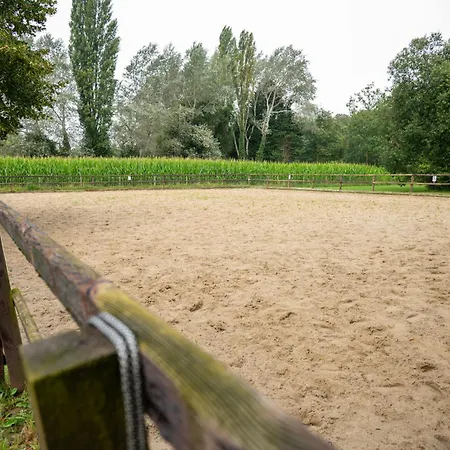 Prachtig En Zeer Ruim Vakantie-appartement 