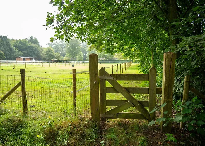 Prachtig En Zeer Ruim Vakantie-appartement 